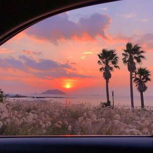 领导扒开我奶罩吸我奶头图片
